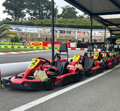 kart-normal